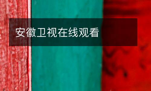安徽衛視在線觀看